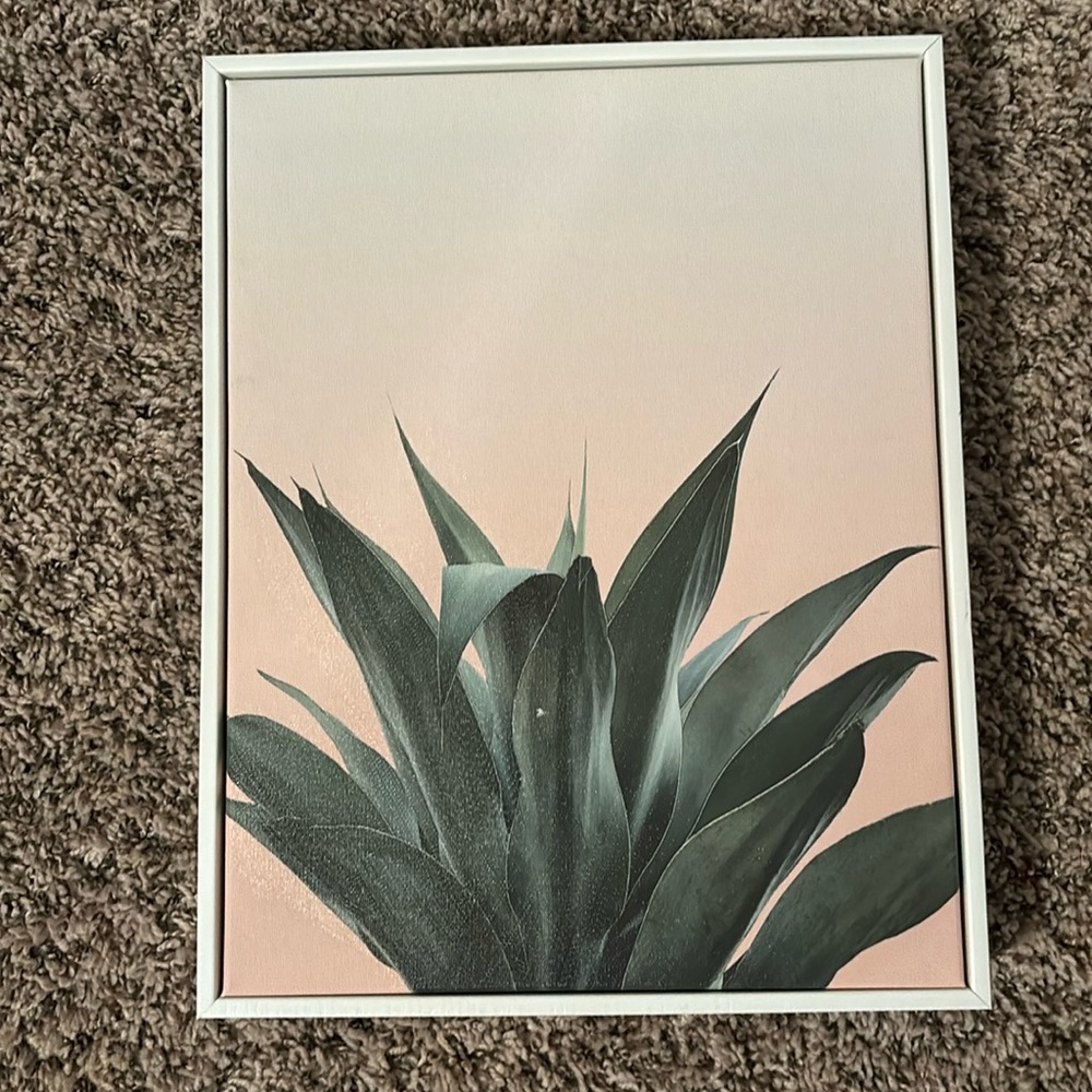 Selling this plant picture for your wall